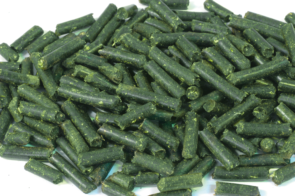 Dennerle Crusta Brennennesel Stixx 30g