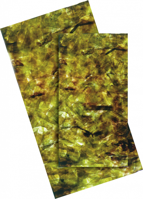 Dennerle Nano Algae Wafers