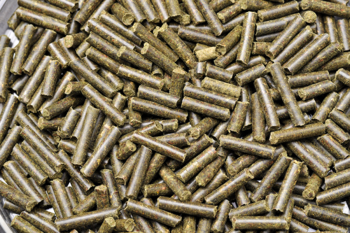 Dennerle Shrimp King Protein 45g