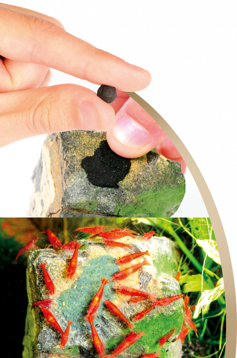 Dennerle Shrimp King Yummy Gum 50г